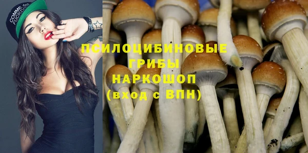 apvp Абинск