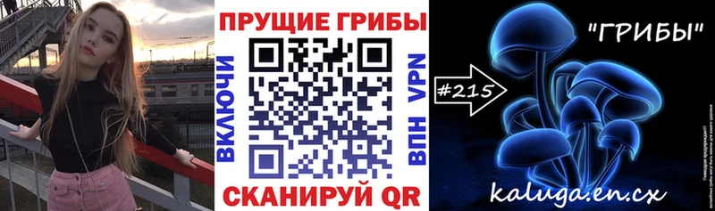 Псилоцибиновые грибы мухоморы  кракен ONION  Кирсанов 